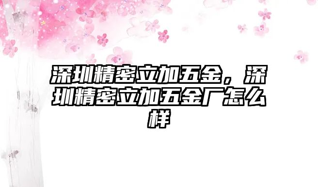 深圳精密立加五金，深圳精密立加五金廠怎么樣