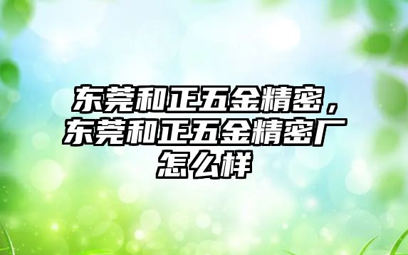 東莞和正五金精密，東莞和正五金精密廠怎么樣