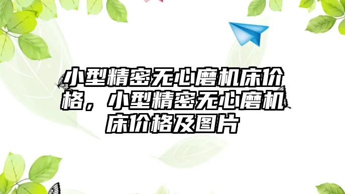 小型精密無心磨機床價格，小型精密無心磨機床價格及圖片