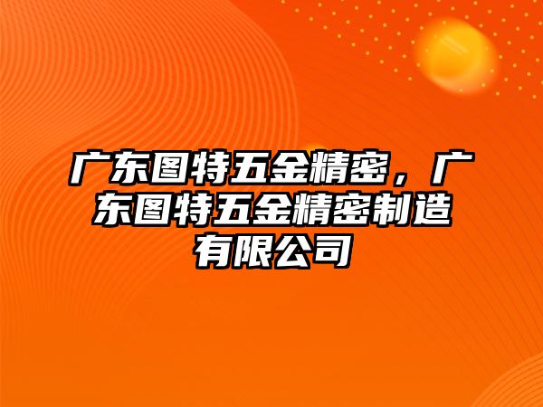 廣東圖特五金精密，廣東圖特五金精密制造有限公司