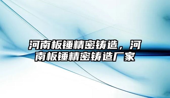 河南板錘精密鑄造，河南板錘精密鑄造廠家