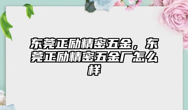 東莞正勵(lì)精密五金，東莞正勵(lì)精密五金廠怎么樣