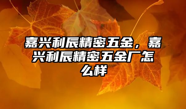 嘉興利辰精密五金，嘉興利辰精密五金廠怎么樣