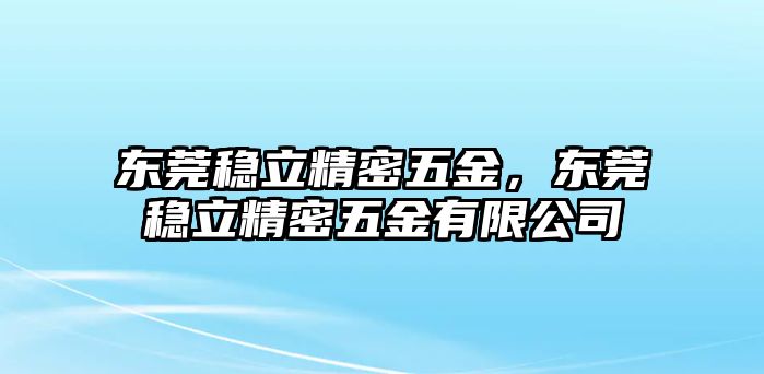 東莞穩(wěn)立精密五金，東莞穩(wěn)立精密五金有限公司