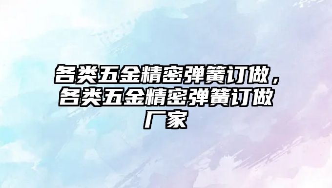 各類五金精密彈簧訂做，各類五金精密彈簧訂做廠家