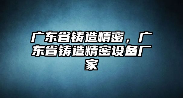 廣東省鑄造精密，廣東省鑄造精密設(shè)備廠家