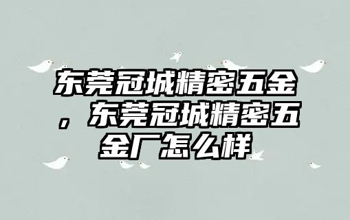 東莞冠城精密五金，東莞冠城精密五金廠怎么樣