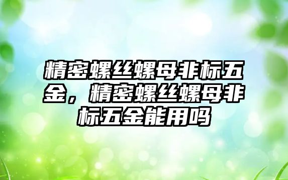 精密螺絲螺母非標五金，精密螺絲螺母非標五金能用嗎