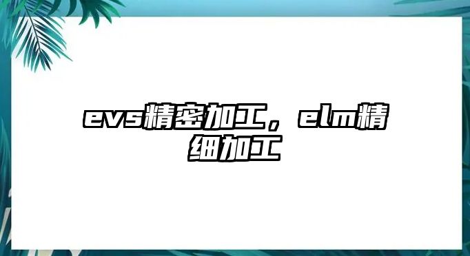 evs精密加工，elm精細(xì)加工