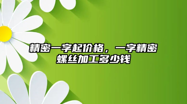 精密一字起價格，一字精密螺絲加工多少錢