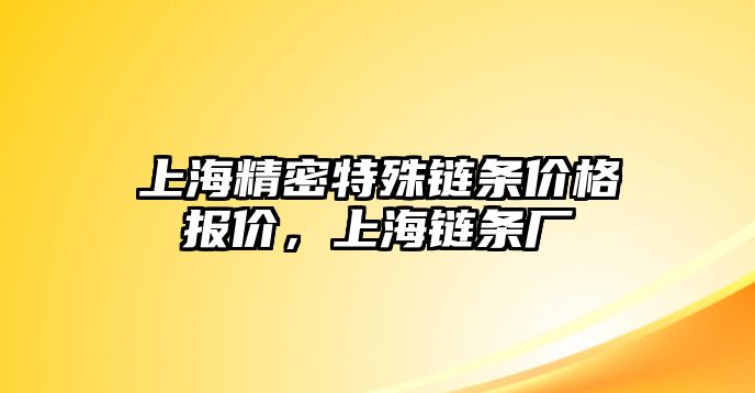 上海精密特殊鏈條價格報價，上海鏈條廠