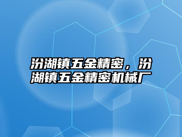 汾湖鎮(zhèn)五金精密，汾湖鎮(zhèn)五金精密機械廠