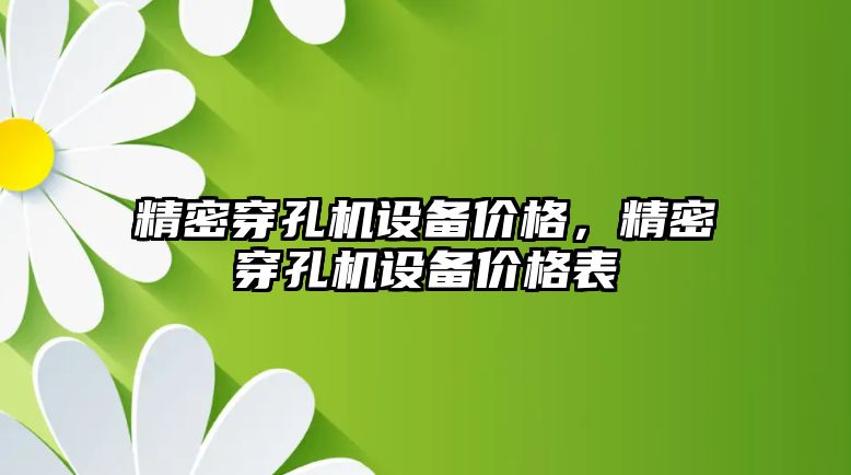 精密穿孔機設(shè)備價格，精密穿孔機設(shè)備價格表