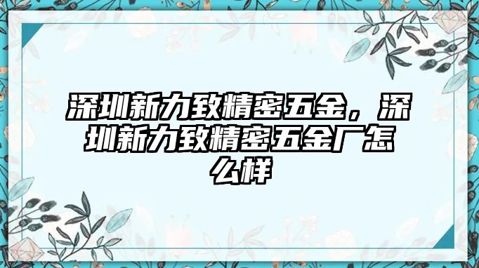 深圳新力致精密五金，深圳新力致精密五金廠怎么樣