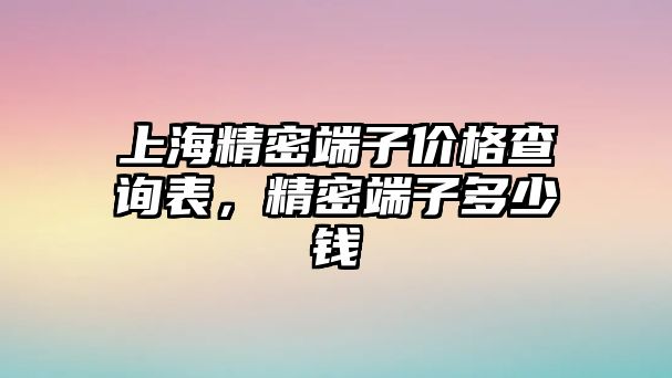 上海精密端子價(jià)格查詢表，精密端子多少錢