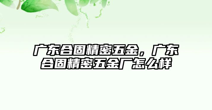 廣東合固精密五金，廣東合固精密五金廠怎么樣