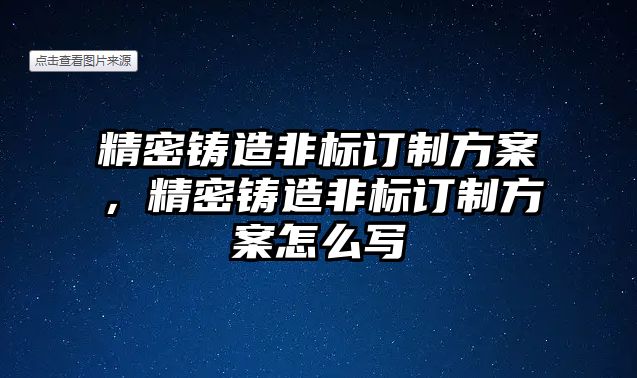 精密鑄造非標(biāo)訂制方案，精密鑄造非標(biāo)訂制方案怎么寫(xiě)