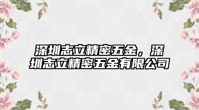 深圳志立精密五金，深圳志立精密五金有限公司