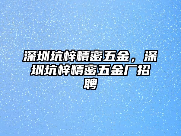 深圳坑梓精密五金，深圳坑梓精密五金廠招聘