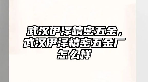 武漢伊澤精密五金，武漢伊澤精密五金廠怎么樣