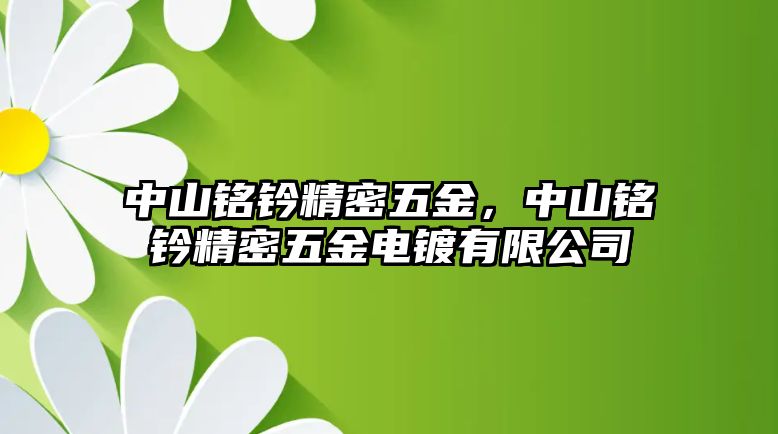 中山銘鈐精密五金，中山銘鈐精密五金電鍍有限公司