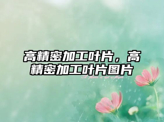 高精密加工葉片，高精密加工葉片圖片