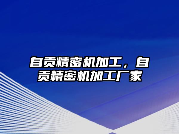 自貢精密機加工，自貢精密機加工廠家