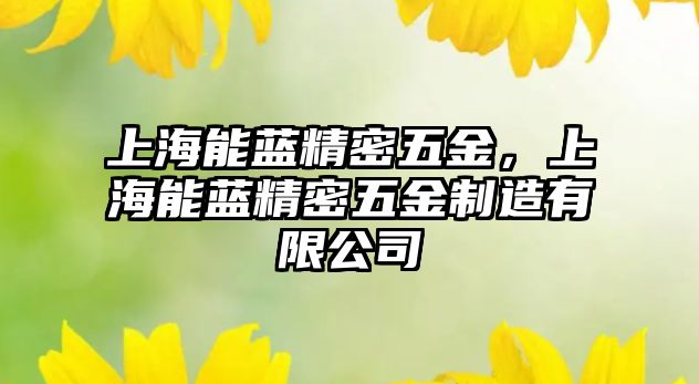 上海能藍精密五金，上海能藍精密五金制造有限公司