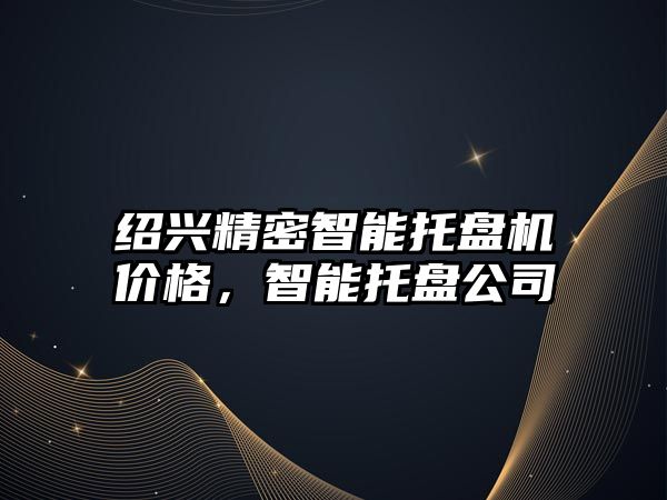 紹興精密智能托盤機價格，智能托盤公司