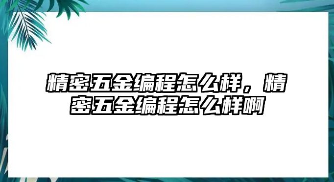 精密五金編程怎么樣，精密五金編程怎么樣啊