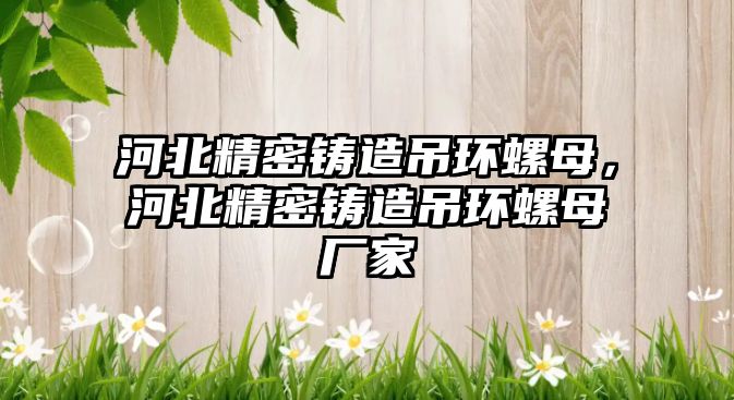 河北精密鑄造吊環(huán)螺母，河北精密鑄造吊環(huán)螺母廠家