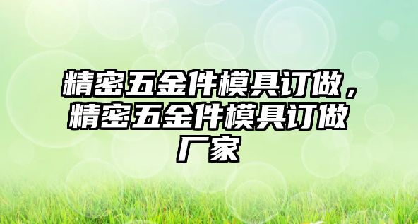 精密五金件模具訂做，精密五金件模具訂做廠家