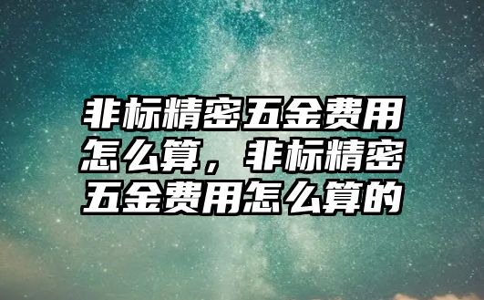 非標(biāo)精密五金費(fèi)用怎么算，非標(biāo)精密五金費(fèi)用怎么算的