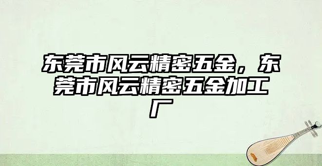 東莞市風(fēng)云精密五金，東莞市風(fēng)云精密五金加工廠