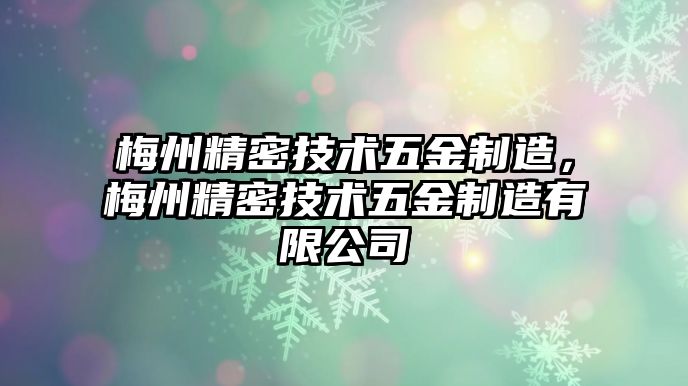 梅州精密技術(shù)五金制造，梅州精密技術(shù)五金制造有限公司