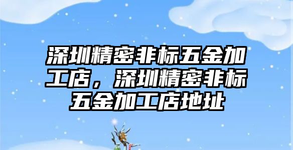 深圳精密非標(biāo)五金加工店，深圳精密非標(biāo)五金加工店地址