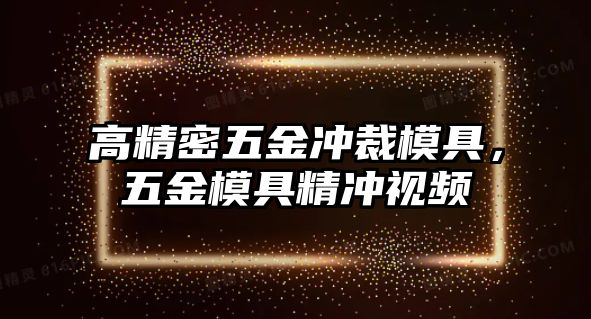 高精密五金沖裁模具，五金模具精沖視頻