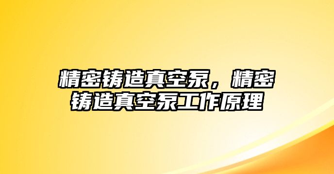 精密鑄造真空泵，精密鑄造真空泵工作原理