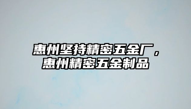 惠州堅(jiān)持精密五金廠，惠州精密五金制品