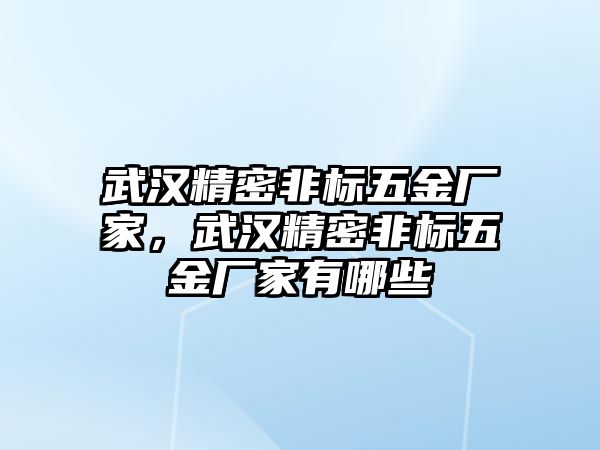 武漢精密非標(biāo)五金廠家，武漢精密非標(biāo)五金廠家有哪些