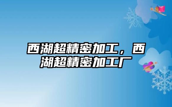 西湖超精密加工，西湖超精密加工廠