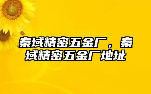 秦域精密五金廠，秦域精密五金廠地址