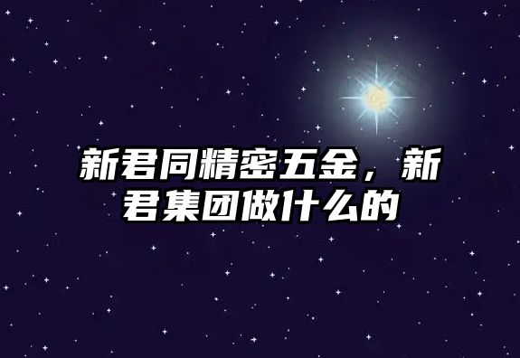 新君同精密五金，新君集團做什么的