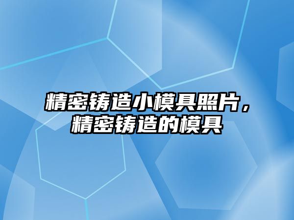 精密鑄造小模具照片，精密鑄造的模具