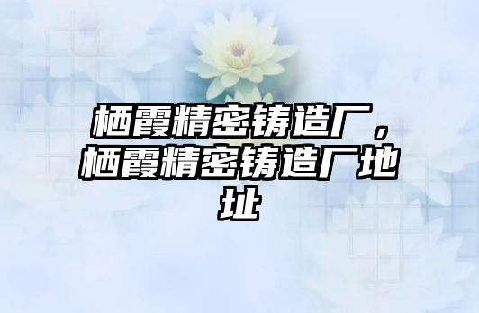 棲霞精密鑄造廠，棲霞精密鑄造廠地址