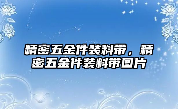 精密五金件裝料帶，精密五金件裝料帶圖片