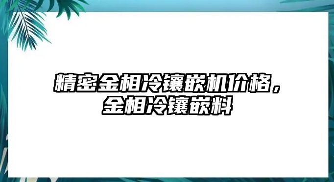 精密金相冷鑲嵌機(jī)價(jià)格，金相冷鑲嵌料