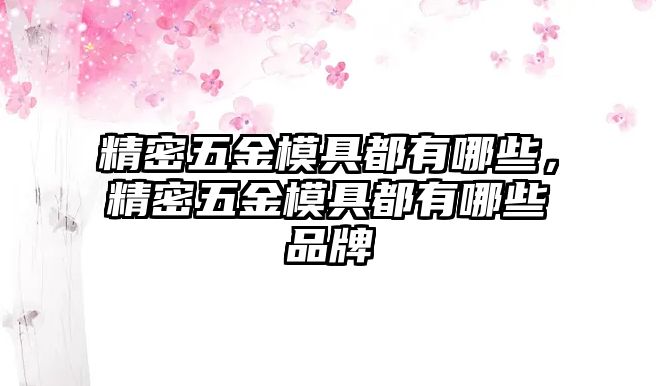 精密五金模具都有哪些，精密五金模具都有哪些品牌