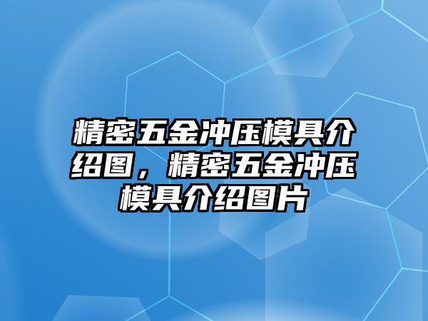 精密五金沖壓模具介紹圖，精密五金沖壓模具介紹圖片