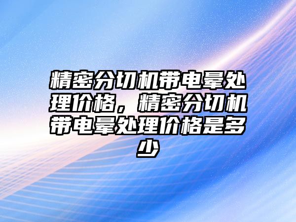 精密分切機帶電暈處理價格，精密分切機帶電暈處理價格是多少